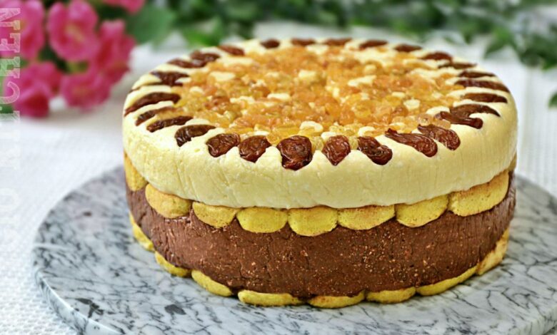 Tort fara coacere cu budinca si branza de vaci, tort fara coacere super cremos la oala adygio kitchen