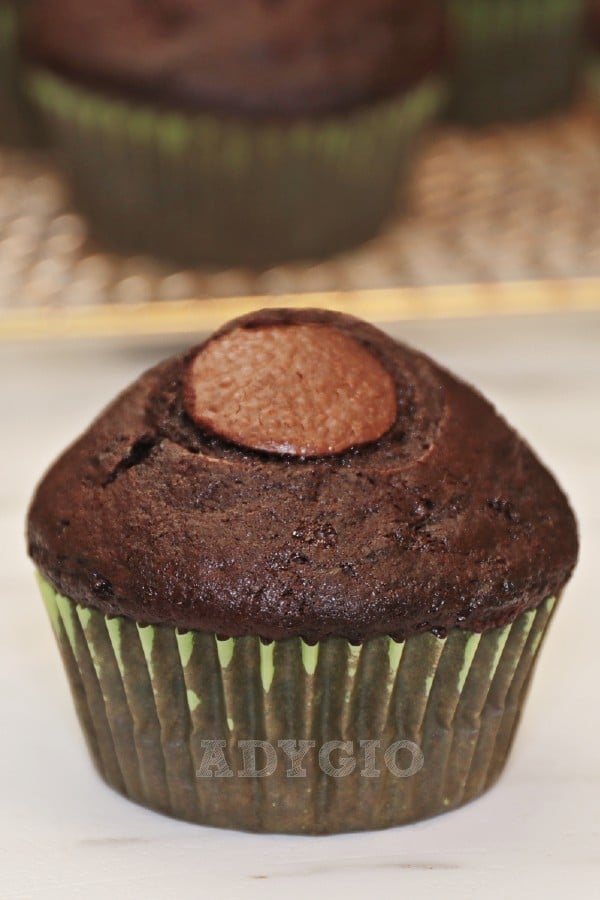 Briosa de ciocolata sau muffin cu ciocolata